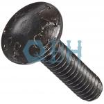 GR2 Bolt Round Head Square Neck for sale