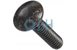 China GR2 Bolt Round Head Square Neck supplier