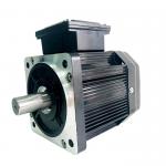 6KV 10KV Rare Earth Magnets Motor , Eco Friendly Three Phase PMSM Machine for sale