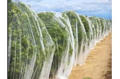 China Flowers Or Plants Garden Mesh Netting For Raised Beds 5 Years supplier