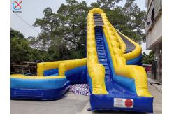 China Factory Inflatable Huge Slide Inflatable Double Water Slides Curved Slide Adults supplier