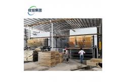 China Flexible Air Stone Cladding Veneer Sheets Panels Drying Machine For Drying supplier