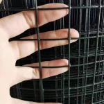 2x2 Square Hole Pvc Welded Wire Mesh Roll For Garden Fence Widely Used In Various Industries for sale