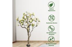 China Customized Large Plastic Artificial Magnolia Tree 600cm Height supplier