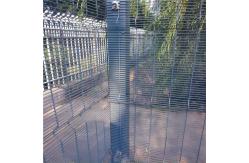 China high-security panel fence   Anti climb welded  fence 358 wire mesh fence supplier