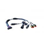 Female To Male / Female 22 AWG Automotive Wiring Harness for sale