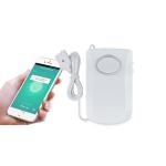 Tuya smart water overflow detector water leakage alarm alert home use flood sensor alarm for sale