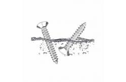 China Phillips Cross Recessed Wood Screw Pan Head Self Tapping Screw supplier