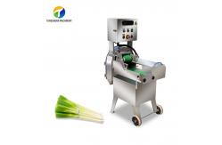 China SUS304 Sprocket Drive Vegetable Processing Machine Cucumbers Gear Drive Commercial supplier