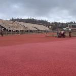 Harmless Synthetic Sports Flooring Full Pour System Running Track