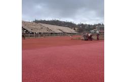 China Harmless Synthetic Sports Flooring Full Pour System Running Track supplier
