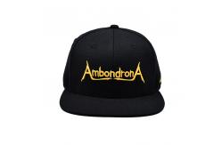 China Custom Flat Brim Snapback Hats Embroidery Flat Bill Baseball Cap supplier