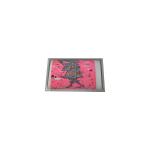 Hot Sell 7.0 inch AM-800480STMQW-TB0 300 cd/m2 262K LCD screen Panel Display for sale