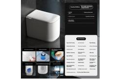 China Bathroom Ceramic Modern Smart Toilet Automatic Electronic Control supplier