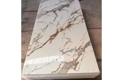 China Glossy/Matt PVC Marble Sheet For Interior Decoration supplier