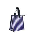 XTX High quality insulated picnic lunch bag food cooler for sale