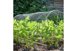 China Garden 1/2'' Hexagonal Wire Netting 12M galvanised chicken wire mesh supplier