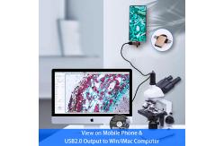 China A31.5121-M Infinity Corrected Microscope Student Achromatic Monocular Quadruple supplier
