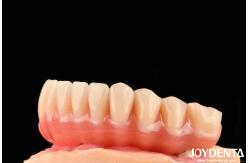 China Natural Looking Acrylic Denture Finish High Biocompatibility With Tooth Arrangement Technology supplier