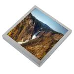 AA050AA11 5.0 inch LCD Panel LVDS Connector Display lcd display panel Screen AA050AA11 for sale