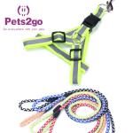 Pet Training  Dog Shock Collar Puppies Tools Basic Concepts Learning Curve