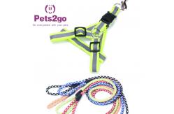 China Pet Training  Dog Shock Collar Puppies Tools Basic Concepts Learning Curve supplier