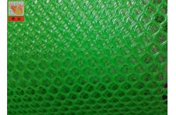 China HDPE Extruded Plastic Netting Hexagonal Hole Wire Mesh Fencing For Chickling supplier