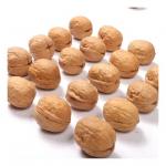 Amazon hot sale High Quality Cheap Wholesale Price Dried Raw Walnuts For sale for sale