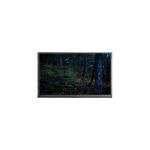 ORIGINAL 15.6 inch N156BGE-P21 1366*768 40 pins LCD Screen for sale