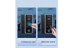 China 3D Face Recognition Electronic Glass Door Lock Fingerprint Password Lock supplier