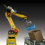 Fanuc R-2000iC/125L Industrial Robot Arm With Robotic Suction Cup Vacuum Gripper For Bottles Packaging Robot for sale
