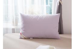 China 40S Plain Cloth 48x74cm Down Feather Pillows supplier