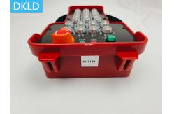 China 20 Channel Industrial Wireless Remote Control supplier