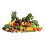 Sub Health Analyzer Machine , Smart Home Ultrasonic and Ozone Purifier for Vegetables Fruits for sale