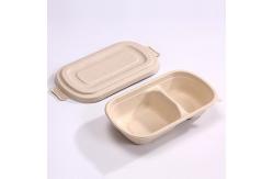 China Eco Friendly Compostable Sugarcane Container 1000ml 2 Compartment Takeaway Containers supplier