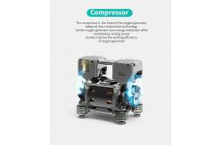 China 96% PSA 5 Litre Intelligent Oxygen Concentrator Generator Machine supplier