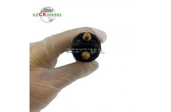 China Fuel Injector 0445120460 0445120325 0445120278 for Bosch 120 Series Injector supplier