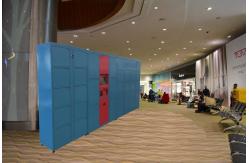 China Wireless Monitoring Delivery Parcel Collection Lockers With Secured Electronic Locks supplier