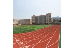 China Fireproof Sandwich System Running Track No Smell Jogging Track Material supplier