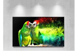China Mult Touch Transparent OLED Display High Temperred Glass Easy Installation supplier