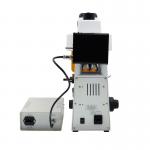 Precision Light Split Fixed A16.2601 Fluorescence Microscope Binocular / Trinocular for sale