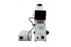 China Precision Light Split Fixed A16.2601 Fluorescence Microscope Binocular / Trinocular supplier