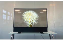 China High definition OLED Transparent Display See Through OLED supplier