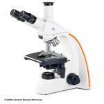12V 20W Halogen Lamp Biological Microscope Binocular A12.0205 WF 10X Eyepiece for sale