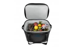 China Customized 20l Cooler Bag Spill Proof For Food Preservation Multifunctional supplier