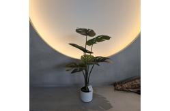 China 70cm Artificial Monstera Tree Artificial House Plants For Indoor / Outdoor supplier