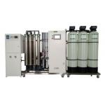 500LPH 2000LPH 10TLPH Double Pass RO System EDI Water Plant for sale