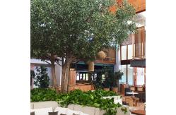 China 20m Height Artificial Olive Tree Custom Shape Natural Looking Frabric Leaves supplier