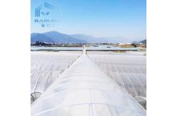 China Cheap Vegetables Tunnel Greenhouse Baolida Tunnel Green House Polytunnel And Multispan Tunnel Greenhouse With Cooling supplier