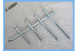 China Q195 BWG9 X 3 Galvanized Binding Wire , Smooth Iron Wire Nails Bright Polish supplier